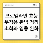 브로멜라인 효능