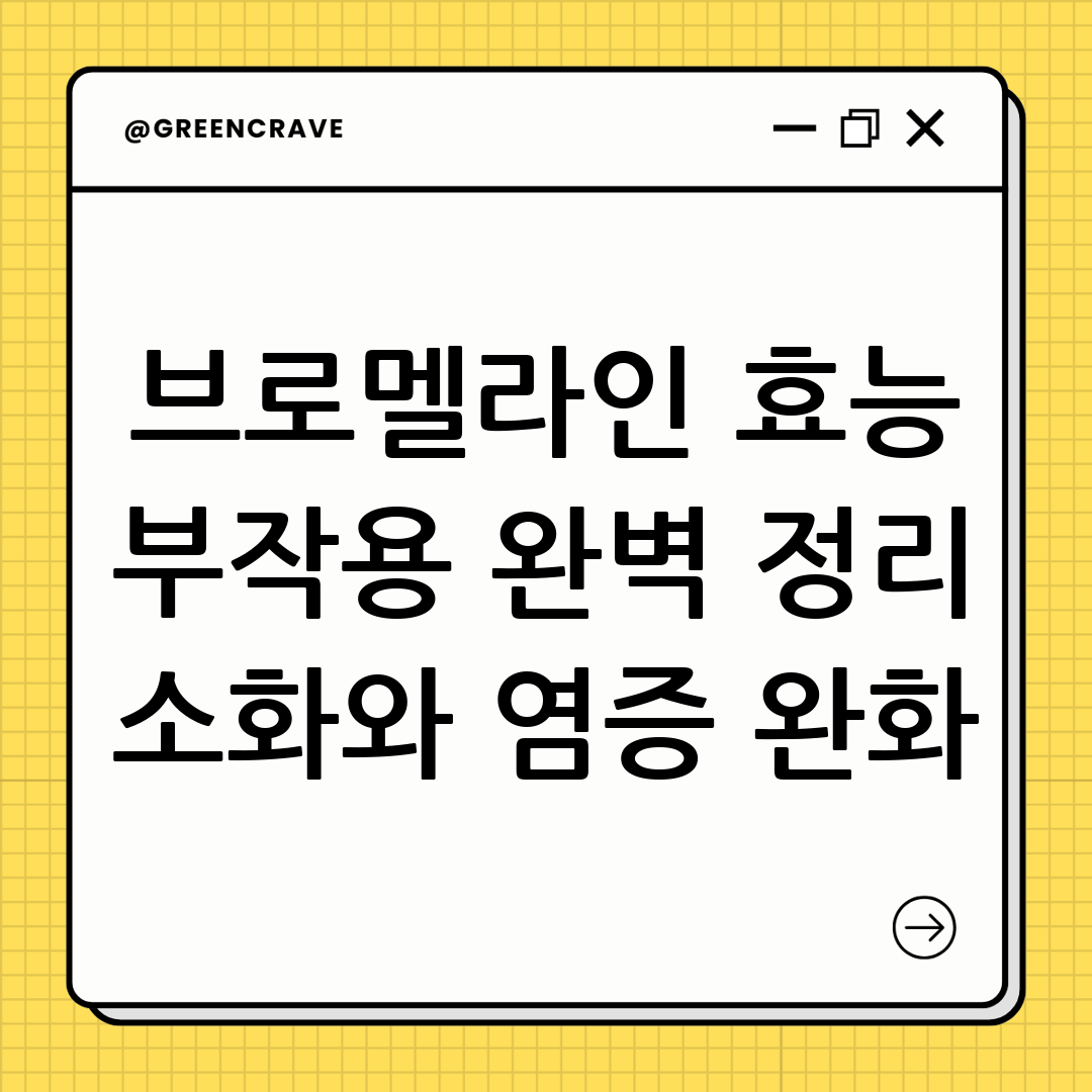 브로멜라인 효능
